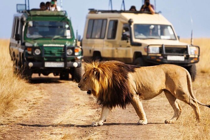 4 days Awesome Luxury safari Tarangire Serengeti & Ngorongoro - The Route Makes Sense: Northern Tanzania in Four Busy Days