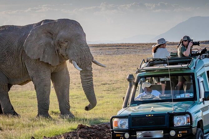 4 days Awesome Luxury safari Tarangire Serengeti & Ngorongoro - Private Safari Guide: Better Attention, Better Animal Spotting