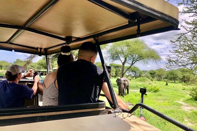 4 days Awesome Luxury safari Tarangire Serengeti & Ngorongoro - Day 1: Tarangire National Park for Elephants and Baobabs