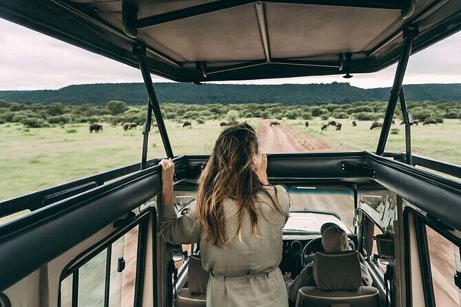 4 days Awesome Luxury safari Tarangire Serengeti & Ngorongoro - Day 3: Early Sunrise Tactics for Predators in Serengeti