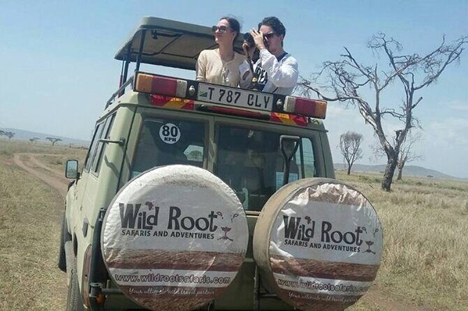 4: days Big five safari - Day 1 in Tarangire: elephants, cats, and a ranger walk