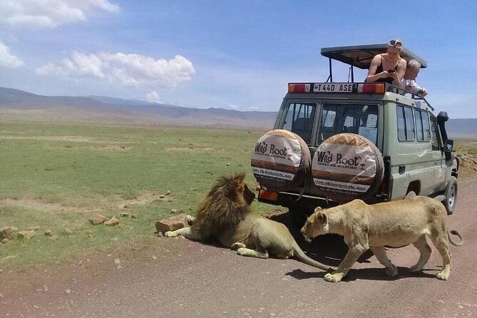4: days Big five safari - Day 2 Ngorongoro Crater: 600 meters down for a wildlife-heavy day
