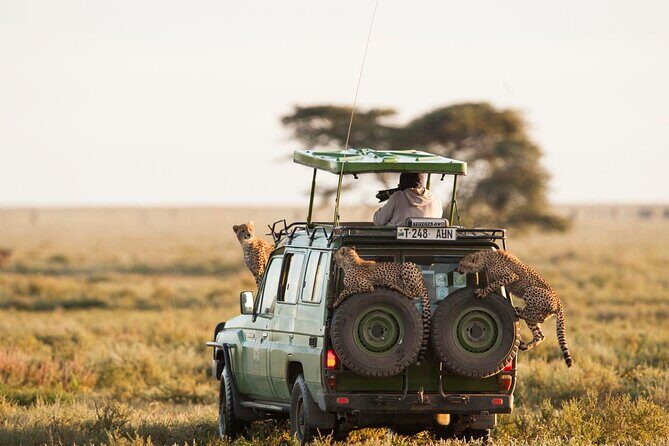 4 Days Experience big five in Tarangire, Serengeti & Ngorongoro Safari - What Camping Safaris Feel Like in Practice (Not Just a Bed)