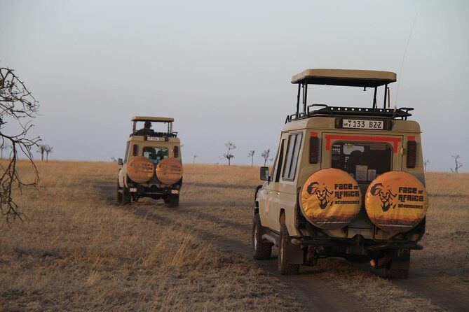 4 Days Game drives Safari Tarangire, Serengeti and Ngorongoro Crater - Day 1: Tarangire 120 km out and the elephant-and-river plan