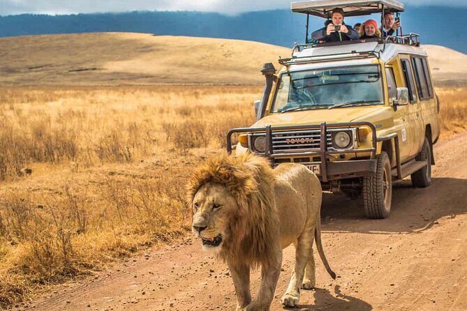 4 Days Group Joining Camping Tanzania safari - Arusha pickup and the first morning in Tarangire
