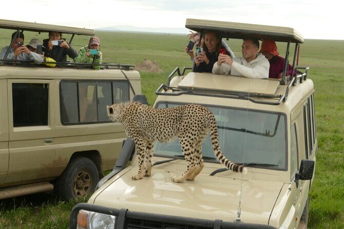 4 Days Join Group tour Tarangire Serengeti and Ngorongoro crater - Guide quality, language, and the “how do I get better sightings” factor