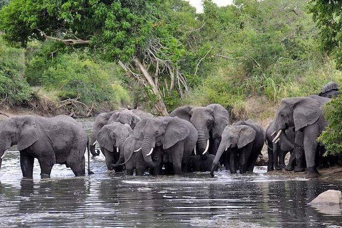4 Days Joined Group Safari Serengeti,Ngorongoro and Tarangire National Parks - Day 2: Serengeti southern plains and the Seronera stretch