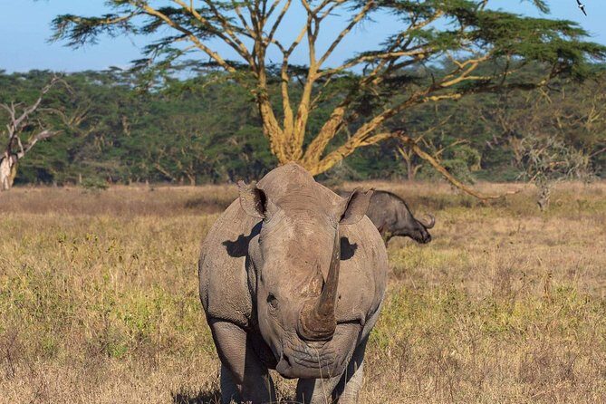 4 Days Joined Group Safari Serengeti,Ngorongoro and Tarangire National Parks - Price and value: what $974.36 covers and where you’ll still spend extra