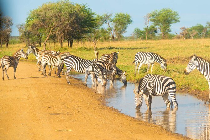 4 Days Lodge Safari - Lodge comfort and the meal plan you can trust