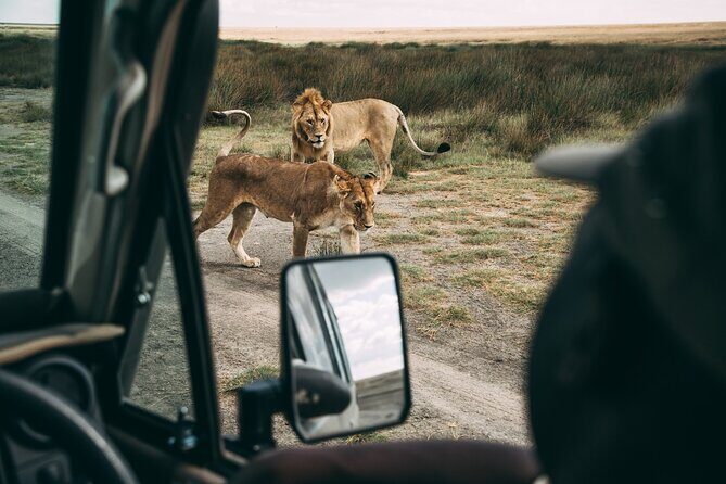 4 Days Lodge Safari in Lake Manyara, Serengeti & Ngorongoro Crater - Day 1 Lake Manyara: flamingos, forests, and the tree-lion dream