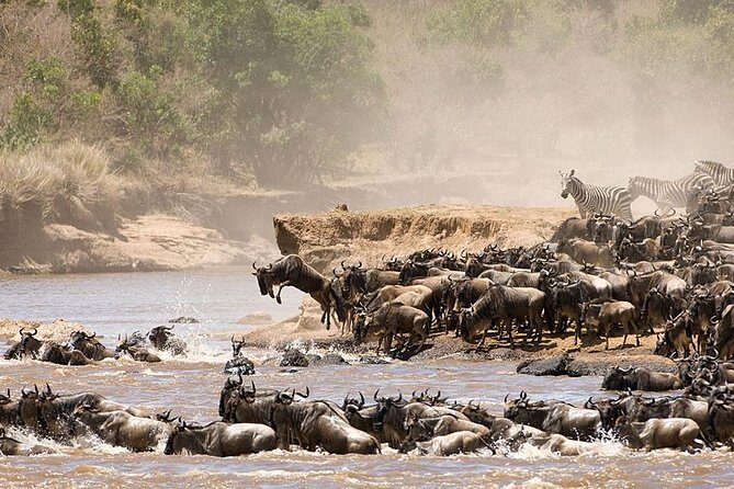 4 Days Luxury Lodge Safari Tour Tanzania - The Route: Arusha to Tarangire, Serengeti, and Ngorongoro in 4 Days
