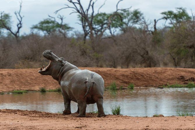 4 Days Luxury Lodge Safari Tour Tanzania - Day 3: A Chilly 6:00 AM Serengeti Start and Then Ngorongoro Conservation Area