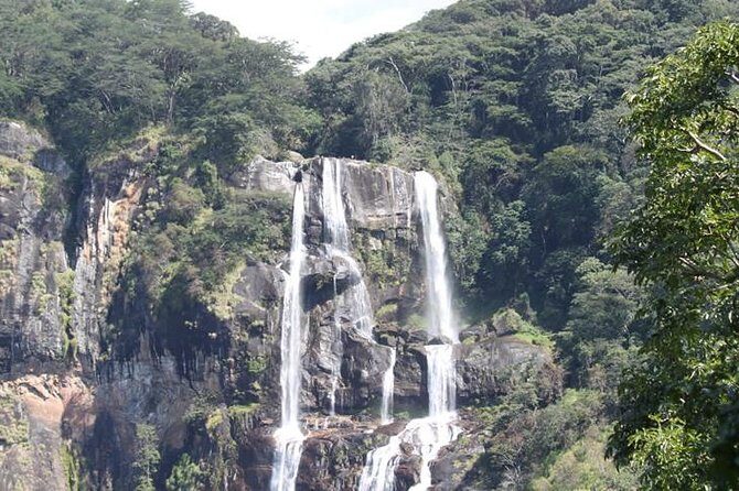 4 Days Mikumi & Udzungwa National Parks Safari - Day 4: Sunrise Game Drive, Hunting Moments, and Maasani Boma