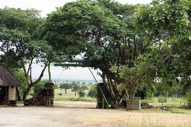 4 Days Mikumi & Udzungwa National Parks Safari - Price and What You Actually Get for $1,200