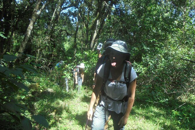 4 Days Mount Meru Climbing | Hiking | Trekking Tour - Day 2 to Saddle Hut: Little Meru’s steep ridge views
