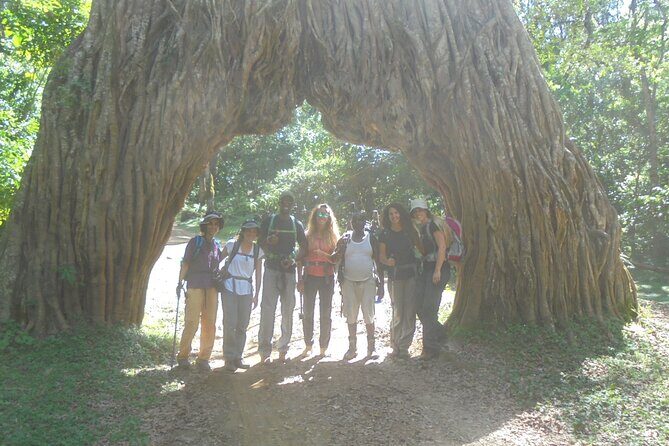 4 Days Mount Meru Climbing | Hiking | Trekking Tour - Day 4 descent to Momela Gate: fast relief through grassland
