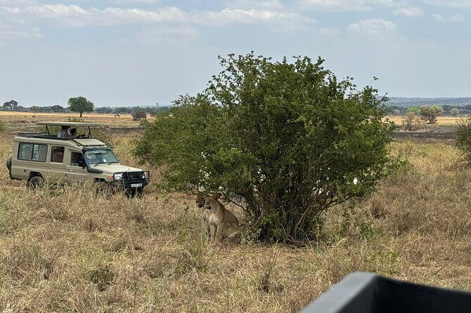 4 Days Private Arusha National Park, Serengeti, Ngorongoro Tour - Price and Logistics: What $840 Gets You (and What It Doesn’t)