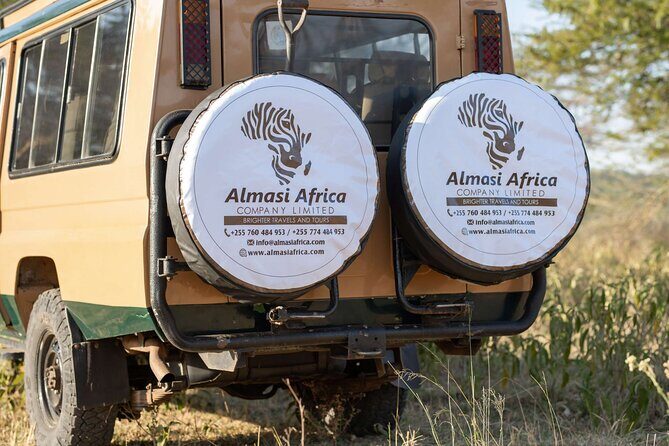 4 Days Private Arusha National Park, Serengeti, Ngorongoro Tour - Timing, Comfort, and How to Prepare for the Long Drive Days