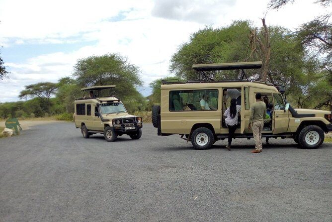 4 Days Private Midrange Lodge Safari to Serengeti & Ngorongoro - Day 2 in Serengeti: a crater viewpoint stop plus a sunset drive