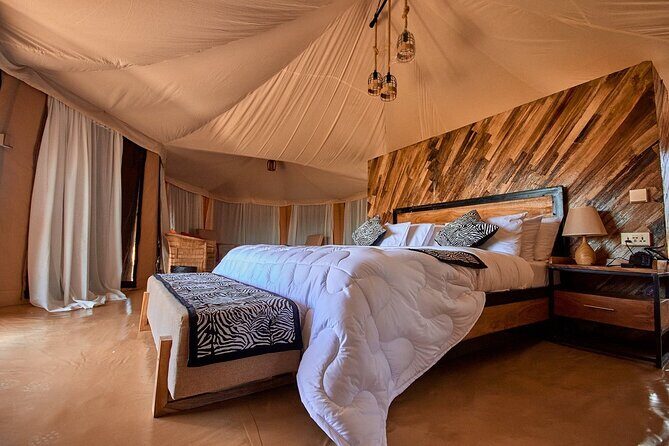 4 Days Private Midrange Lodge Safari to Serengeti & Ngorongoro - Day 3 in Serengeti to Ngorongoro: sunrise predators and a camping-style night