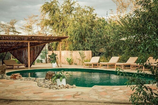4 Days Private Midrange Lodge Safari to Serengeti & Ngorongoro - Day 4 in Ngorongoro Crater: early descent, open-roof views, and hippo-pool lunch