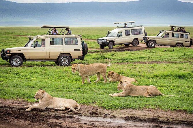 4 Days Private Midrange Lodge Safari to Serengeti & Ngorongoro - Price and logistics: is $2,596.07 per person fair value?