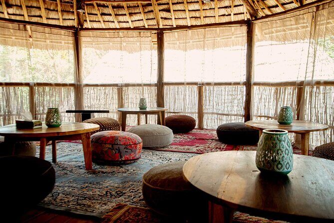 4 Days Private Midrange Lodge Safari to Serengeti & Ngorongoro - Practical tips for a smoother safari (and better photos)