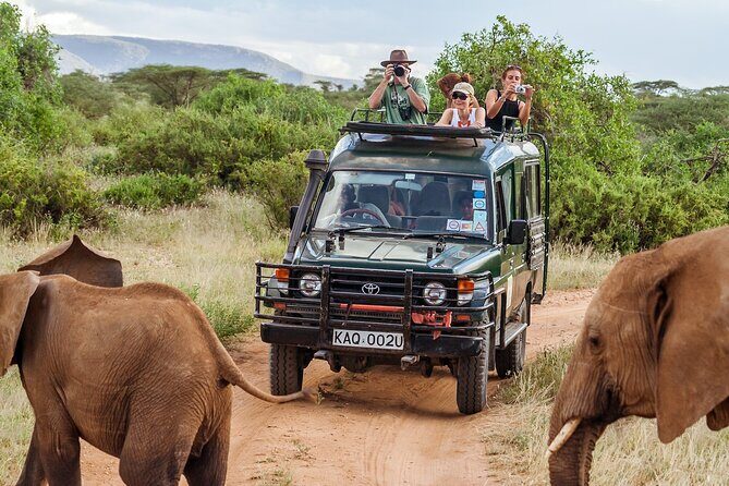 4-Days Private Midrange Safari Tarangire, Serengeti & Ngorongoro - A Fast Tanzania Safari That Still Feels Organized