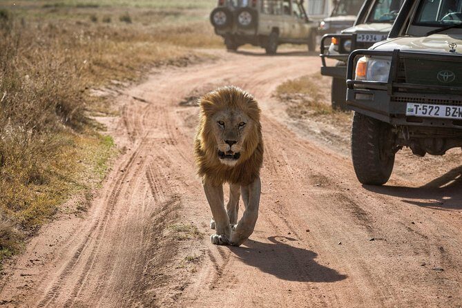 4-Days Private Midrange Safari Tarangire, Serengeti & Ngorongoro - Price and Value: What You’re Paying For