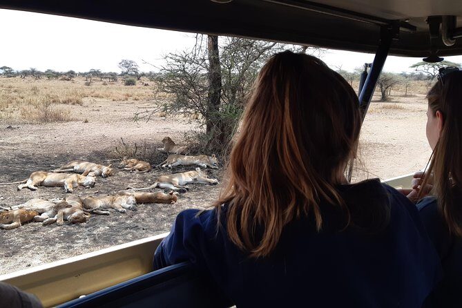 4-Days Private Midrange, Tarangire Ngorongoro, Manyara & Materuni - Lake Manyara: Rift Valley birds, tree-climbing lions, and real-time wildlife watching