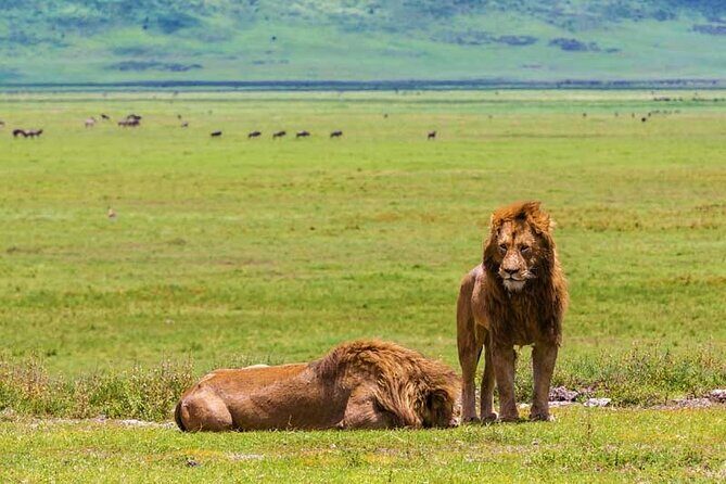 4-Days Private Midrange, Tarangire Ngorongoro, Manyara & Materuni - Comfort level and value: what midrange really means here
