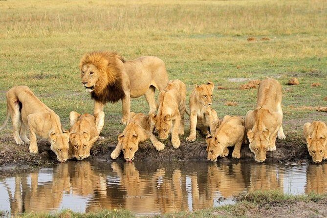 4 Days Private Migration Midrange Safari - Comfort lodges near the migration zone: what you’re really paying for