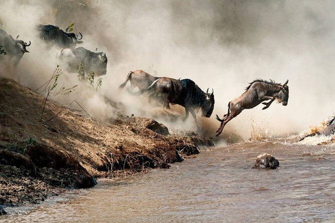 4 days Private Safari Tour Tanzania - What to pack and how to stay comfortable during long drives