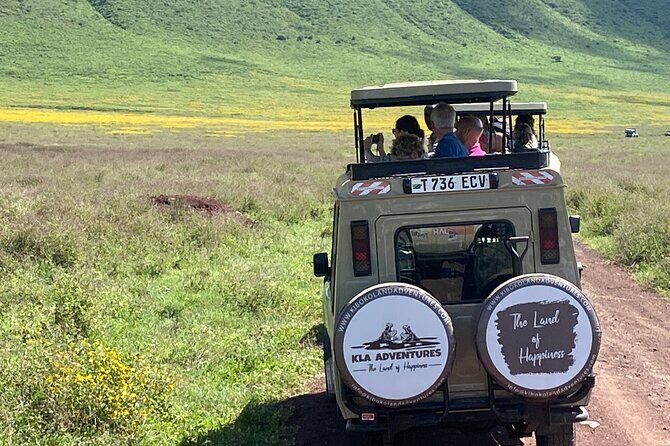 4 Days Private Tour Tarangire Crater and Serengeti - Tarangire National Park: baobabs, elephants, and a picnic lunch in the wild