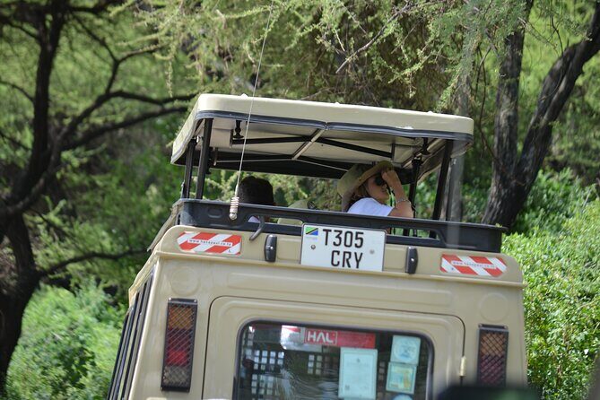 4 days serengeti & ngorongoro mid range tour - Pickup, Private Transport, and Mid-Range Comfort That Helps You Stay Sharp