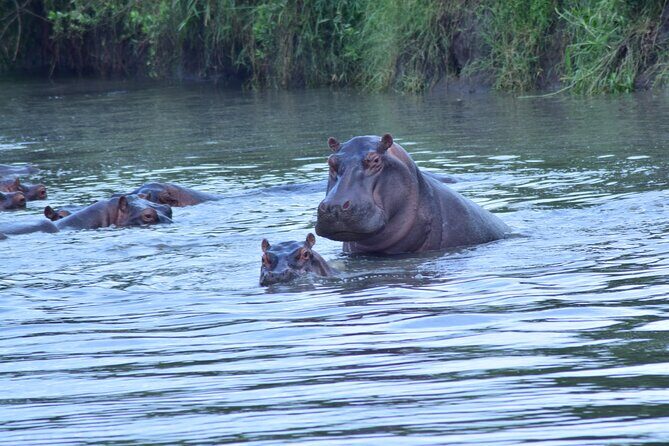 4 Days Tanzania Budget Group Join Safari- Serengeti & Ngorongoro - Price and value: what $1,283 buys you (and what it doesn’t)