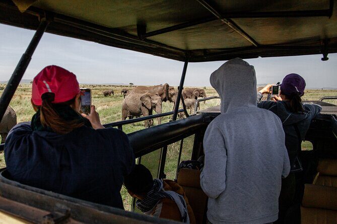 4 Days Tanzania Budget Safari - Day 3: Early Serengeti Morning, Then Ngorongoro Nights at Simba Camp