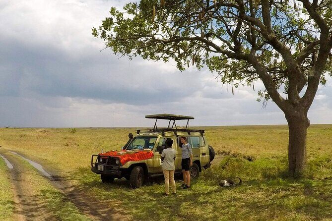 4 Days Tanzania Budget Safari - Camping, Food, and the Comfort Reality Check