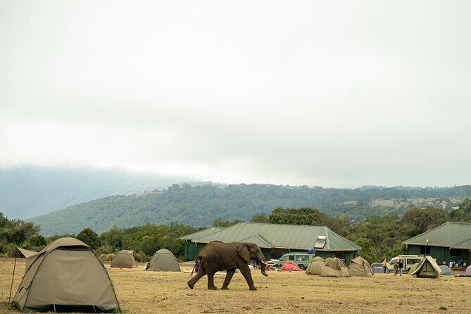 4 Days Tanzania Budget Safari - Price and Value: Why This Budget Package Can Still Feel Thoughtful