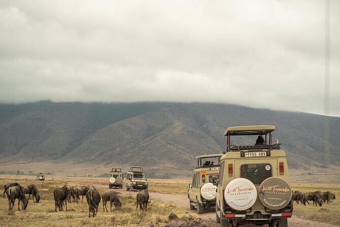 4 Days Tanzania Budget Safari - Who Should Book This Safari (and Who Might Want a Different Style)