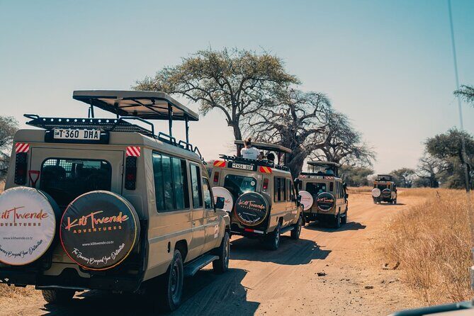 4 Days Tanzania Budget Safari - Day 2: Serengeti via Karatu Farmland and the Seronera Water Source