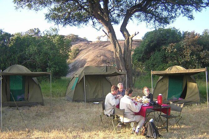 4 days Tanzania Camping Safari - A Budget Safari That Still Lets You Feel the Real Tanzania