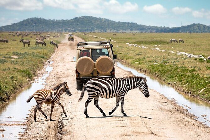 4 days Tanzania Camping Safari - Ngorongoro Viewpoint, Maasai Village Option, and the Serengeti Sunset Shift