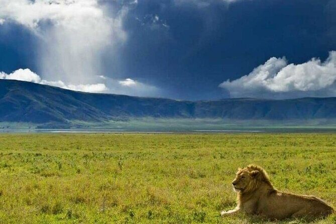 4 days Tanzania Camping Safari - Price and Value: What $950 Gets You (and What Doesn’t)