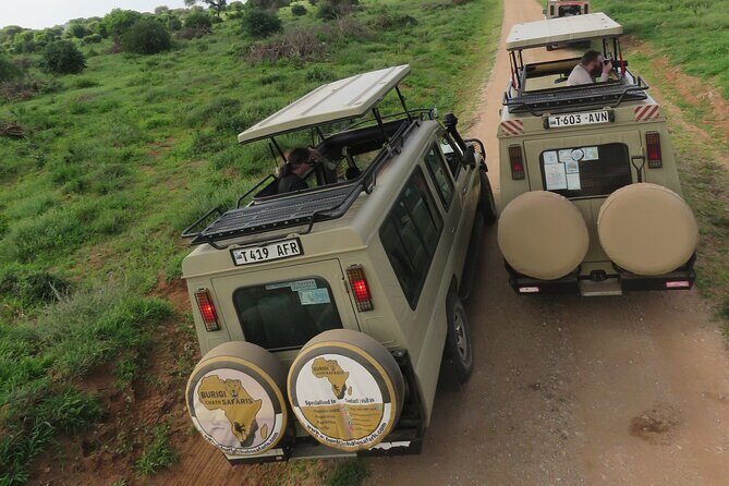 4 Days Tanzania Group Joining Safari with Mid-range Accommodation - Mid-range lodges and included meals: comfort that keeps the focus on wildlife