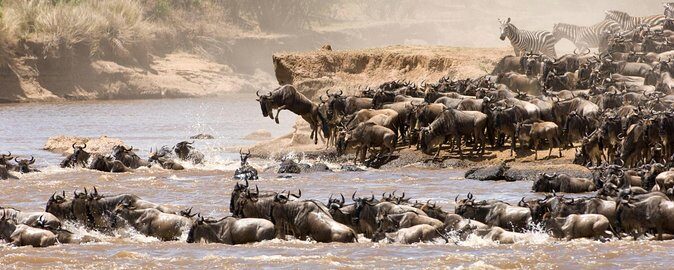 4 Days Tanzania Luxury Safari Serengeti and Ngorongoro Crater - Serengeti First: Why Starting in the Plains Makes Sense