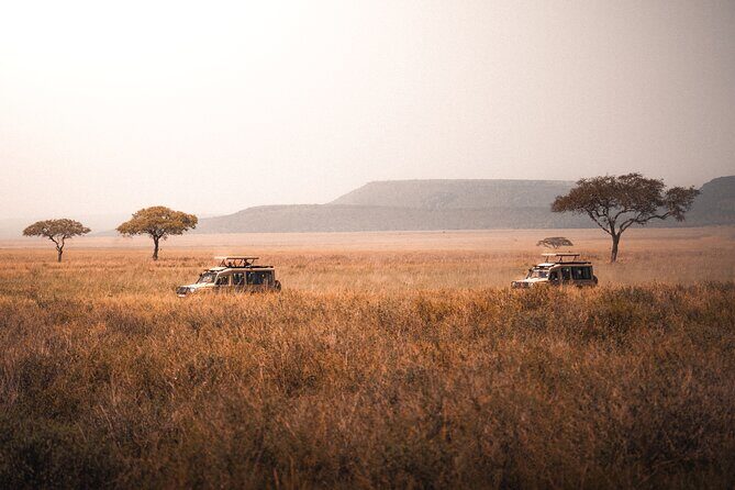 4 Days Tanzania Private Lodge Safari - Why the North Circuit Works in 4 Days