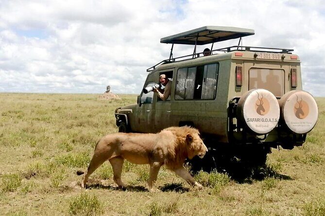 4 Days Tanzania Private Lodge Safari - Day 1 Tarangire: baobabs, elephants, and a river picnic