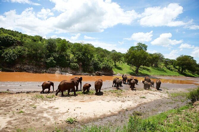 4 Days Tanzania Private safari to Serengeti ,ngorongoro crater and Tarangire - Key highlights (what makes this safari feel worth it)