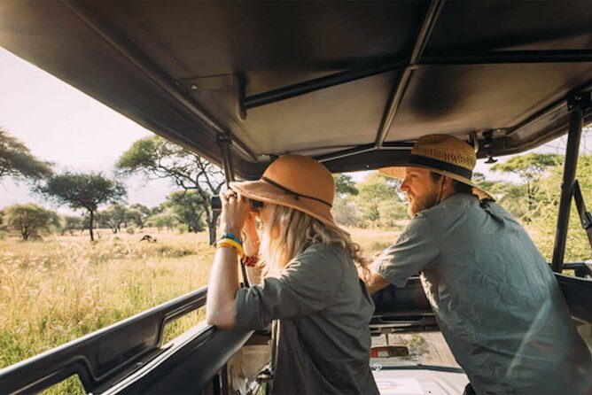 4 Days Tanzania Private safari to Serengeti ,ngorongoro crater and Tarangire - Tarangire National Park: elephants, tree-top checks, and a full first-day game drive